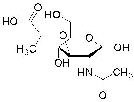 10597-89-4, N-Acetylmuramic acid, MurNAc, CAS:10597-89-4