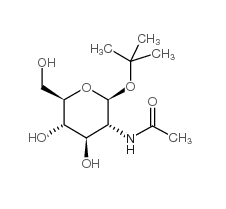 262849-69-4, tert-Butyl 2-acetamido-2-deoxy-b-D-glucopyranoside, CAS:262849-69-4