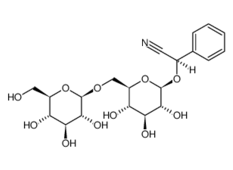 29883-15-6, 苦杏仁苷,D-(-)-Amygdalin, CAS:29883-15-6
