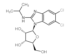 176161-24-3 , 苯并咪唑核苷 , Maribavir, CAS:176161-24-3