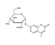 80265-04-9 , 4-Methylumbelliferyl 2-acetamido-2-deoxy-a-D-glucopyranoside;  4MU-a-GlcNAc