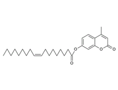 18323-58-5 , 4-Methylumbelliferyl oleate