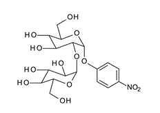 147103-31-9 , 4-Nitrophenyl a-kojibioside;  PNP-a-kojibioside; 4-Nitrophenyl 2-O-(a-D-glucopyranosyl)-a-D-glucopyranoside