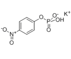 208651-58-5 ,4-硝基苯基磷酸钾盐, pNP-Phos K;4-Nitrophenyl phosphate potassium salt