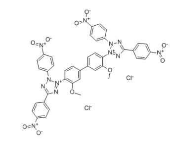 1184-43-6 , Tetranitroblue tetrazolium chloride ; 3,3'-(3,3'-Dimethoxy-4,4'-biphenylene)bis[2,5-bis(p-nitrophenyl)-2H-tetrazolium chloride]; Tetranitrotetrazolium blue chloride; TNBT