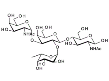 73361-87-2 , GalNAca-3(fuca-2)Galb-4GlcNAc ; Blood Group A tetrasaccharide type II